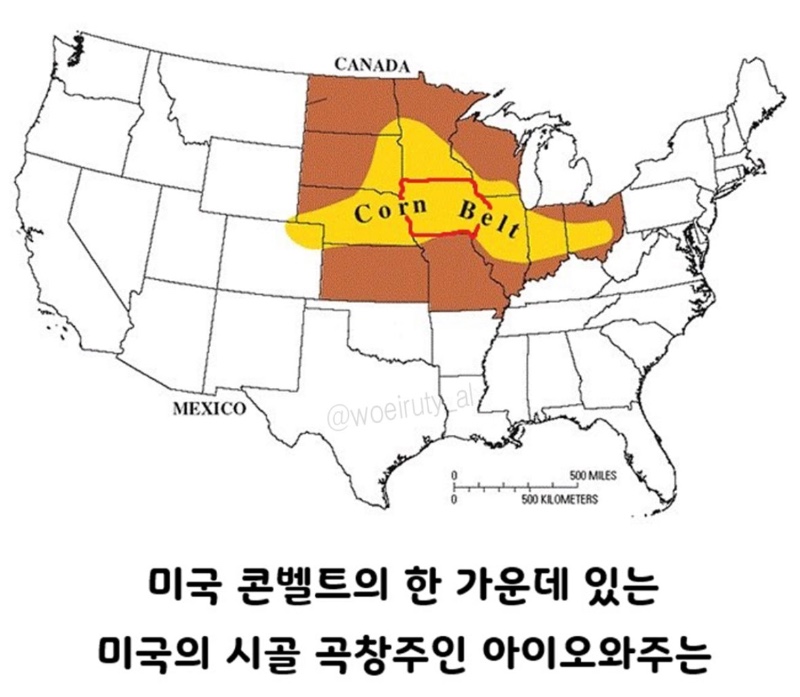 미국 옥수수밭 들어가면 길 잃는 이유