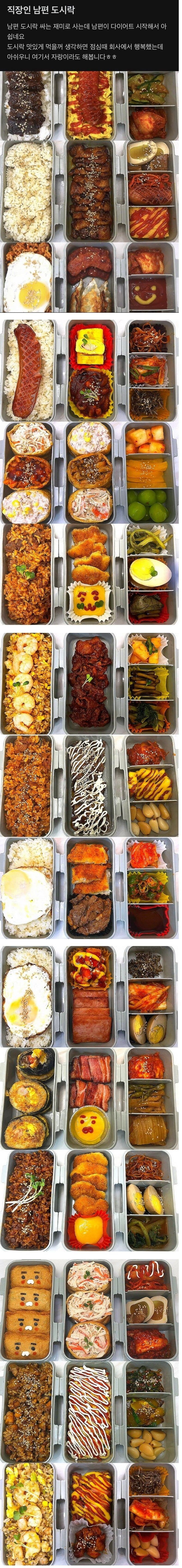 남편 도시락 싸주는 아내