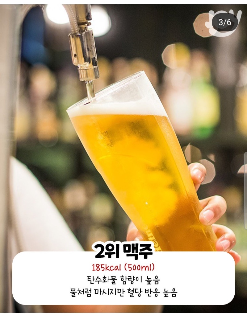 살 찌는 술 순위