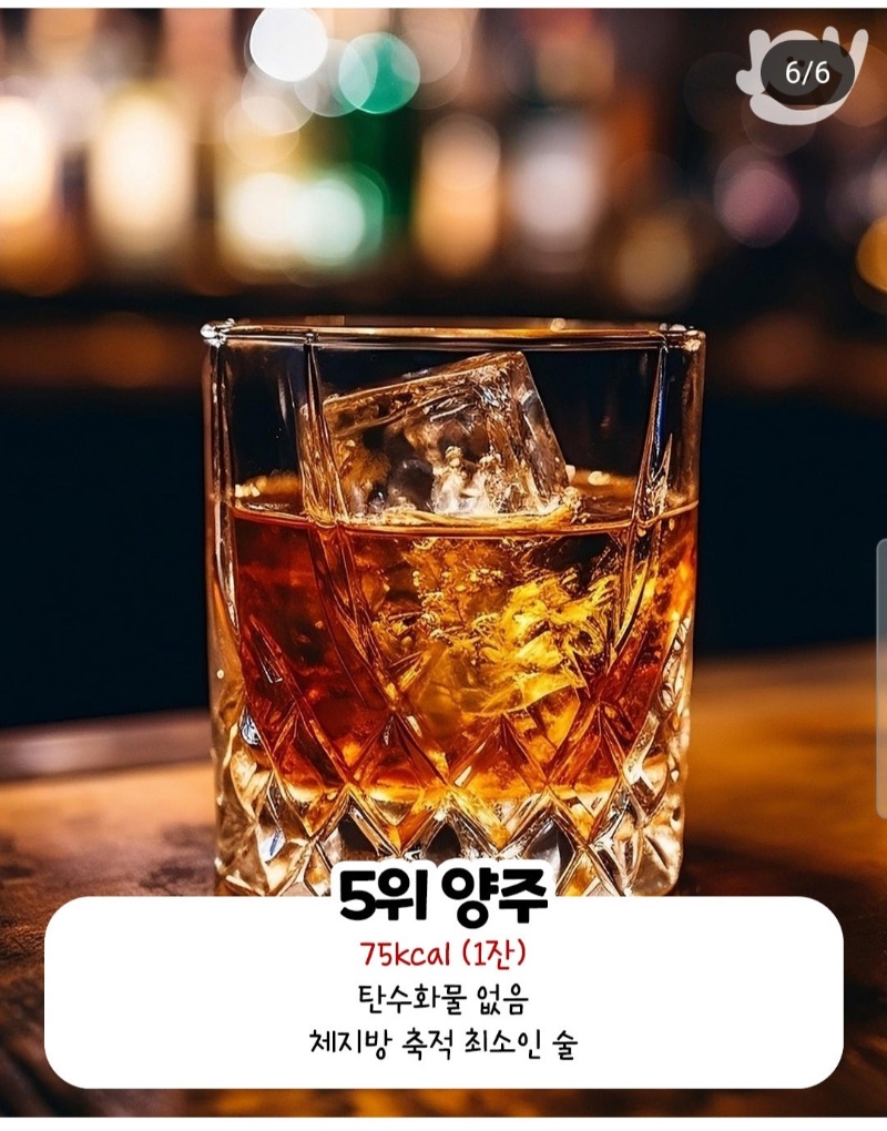 살 찌는 술 순위