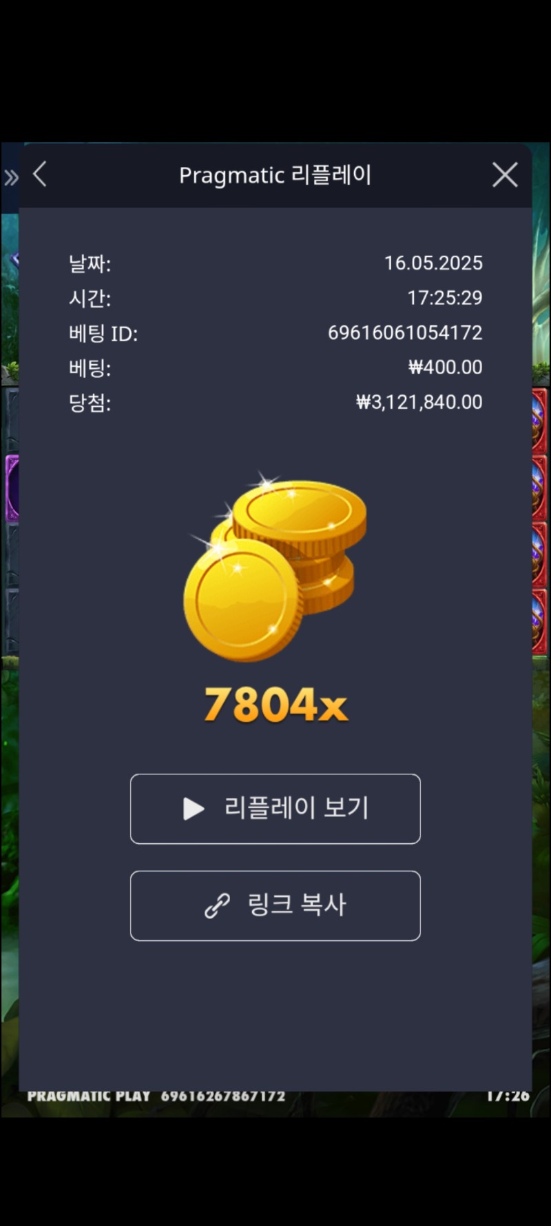 멀린 7804배