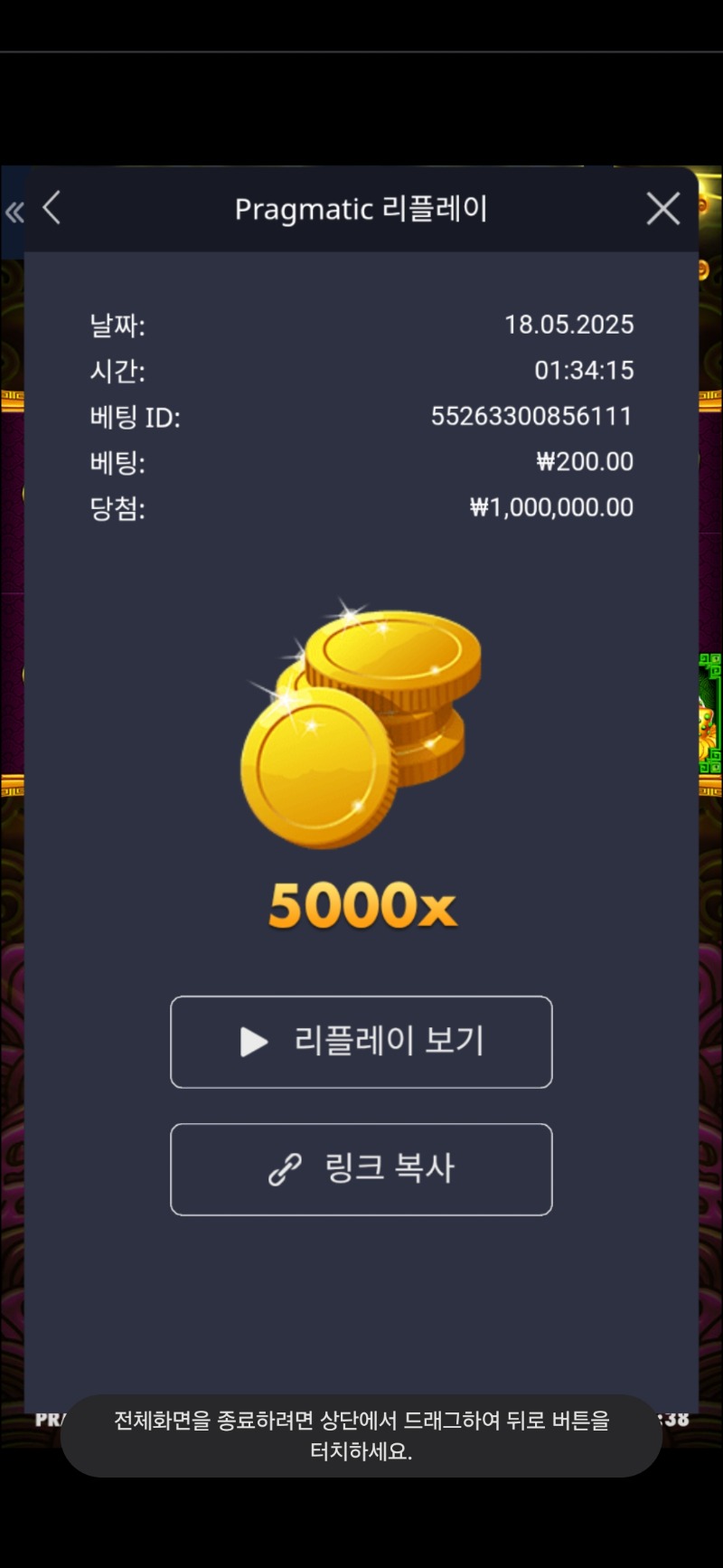 토라메 5000배