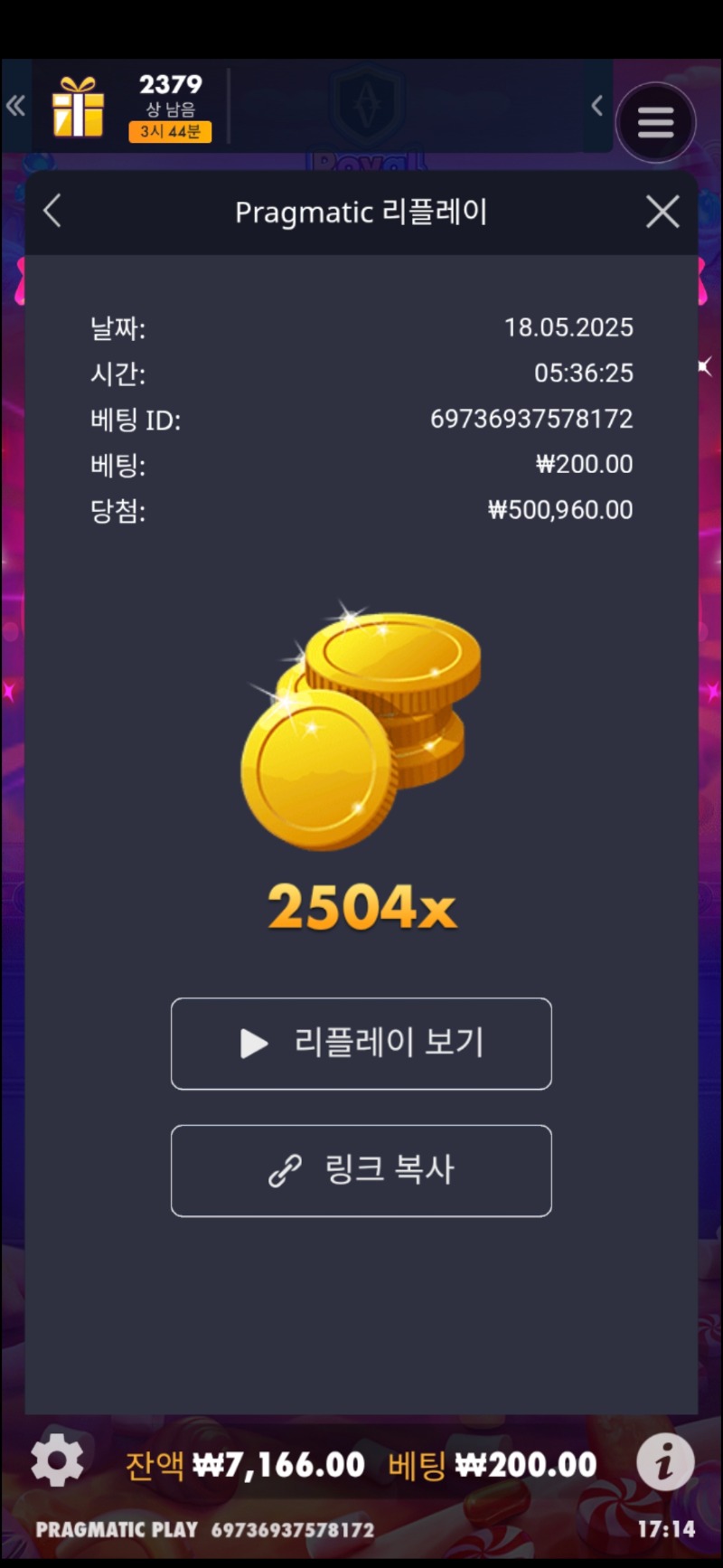로얄슈천2504
