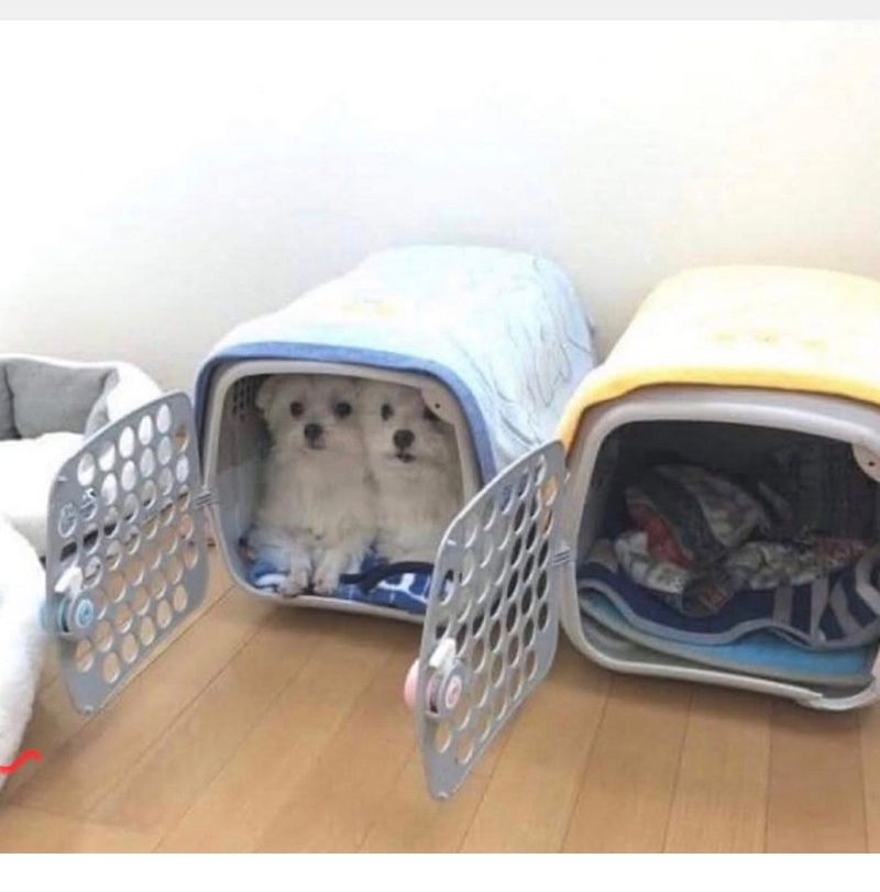싸우지 말라고 2개씩 샀는데