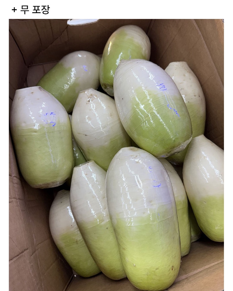 마트에서 야채포장 재능 발견