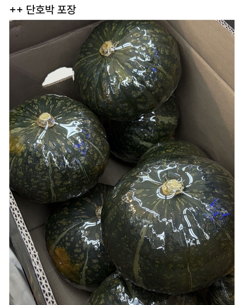 마트에서 야채포장 재능 발견