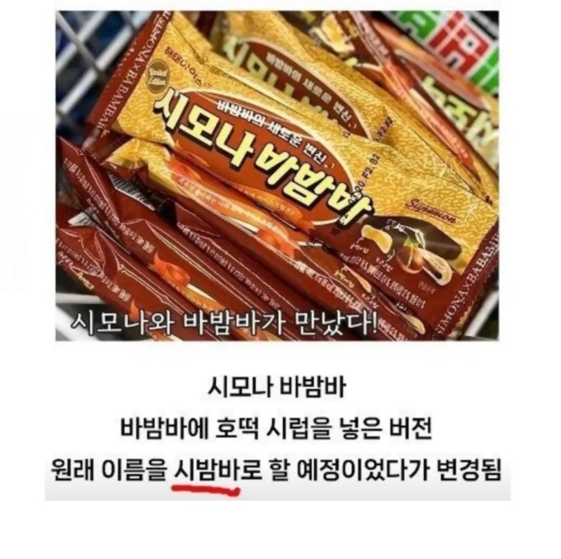 이상한 길을 걷고 있는 바밤바