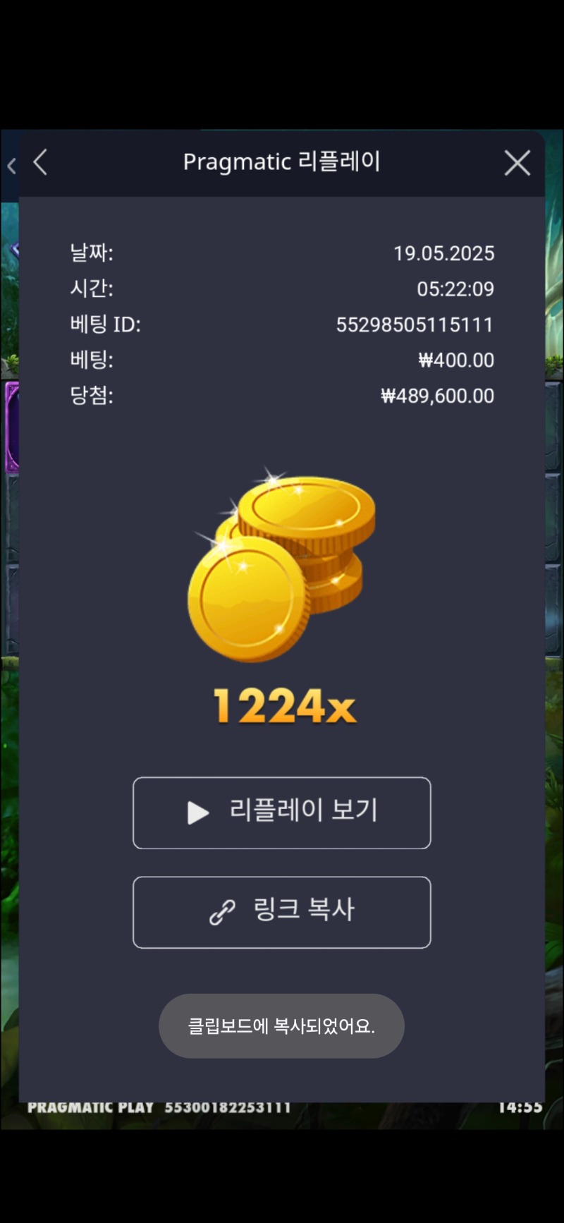 멀린 1224배