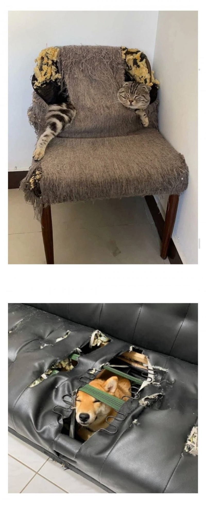 어디까지 망가트리는지 놔둬봤다