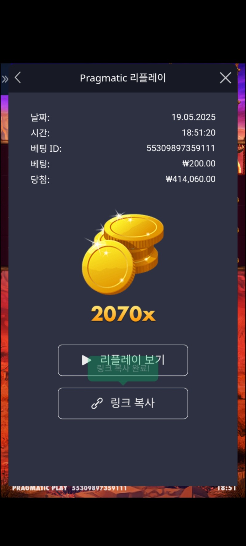 버킹메 2070배