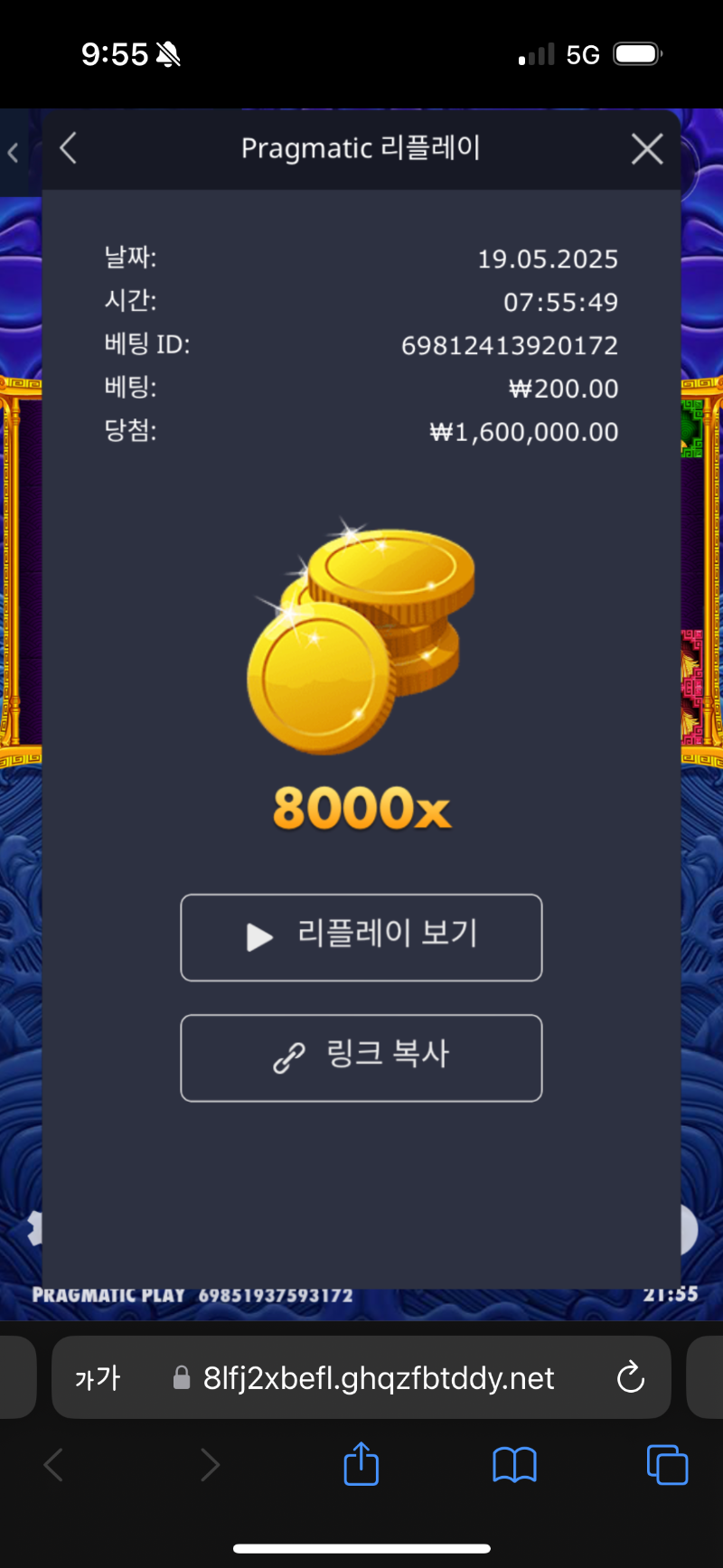 오2 8000배