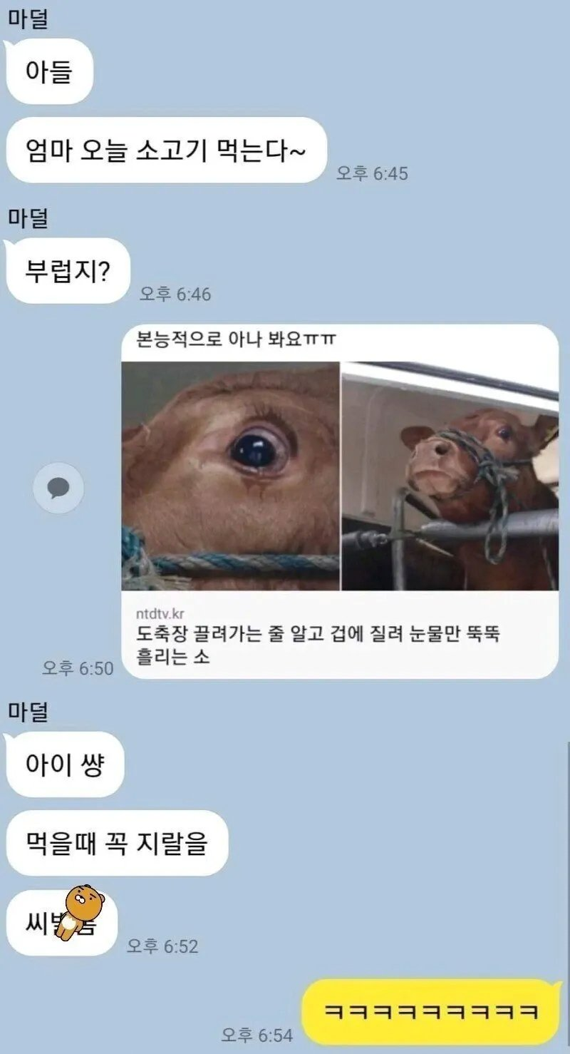 아들과 엄마의 카톡