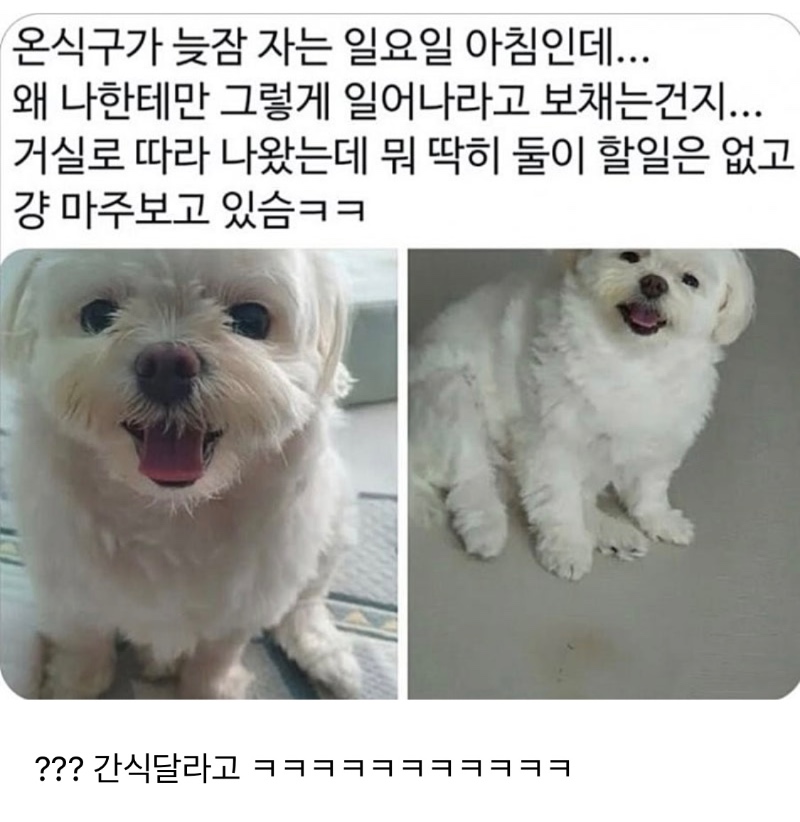 온 식구가 낮잠자는 일요일 아침인데