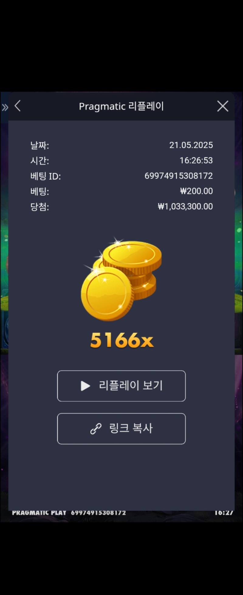 멀린 5166배