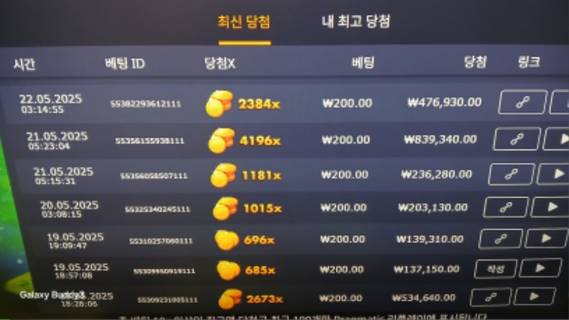 멀린2384배