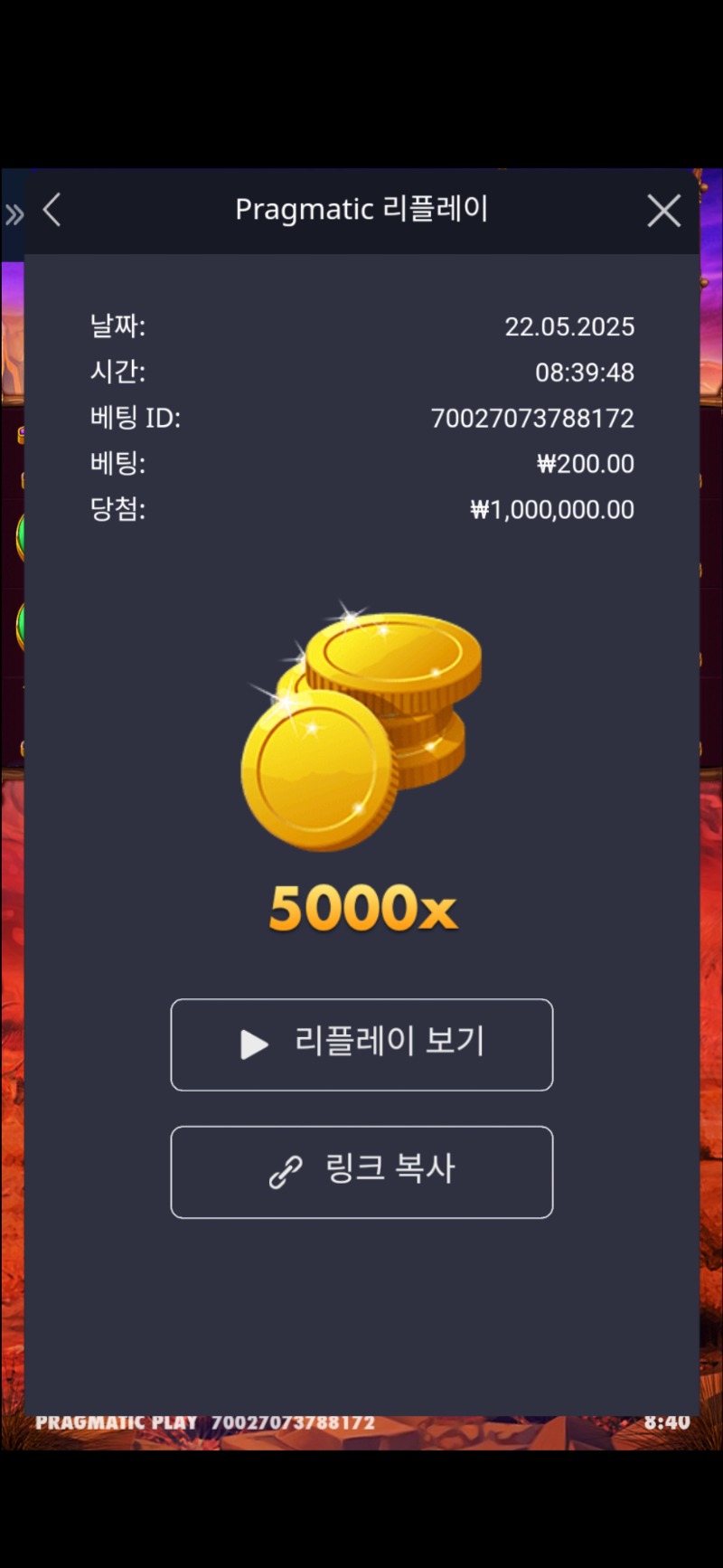버메가 5000배