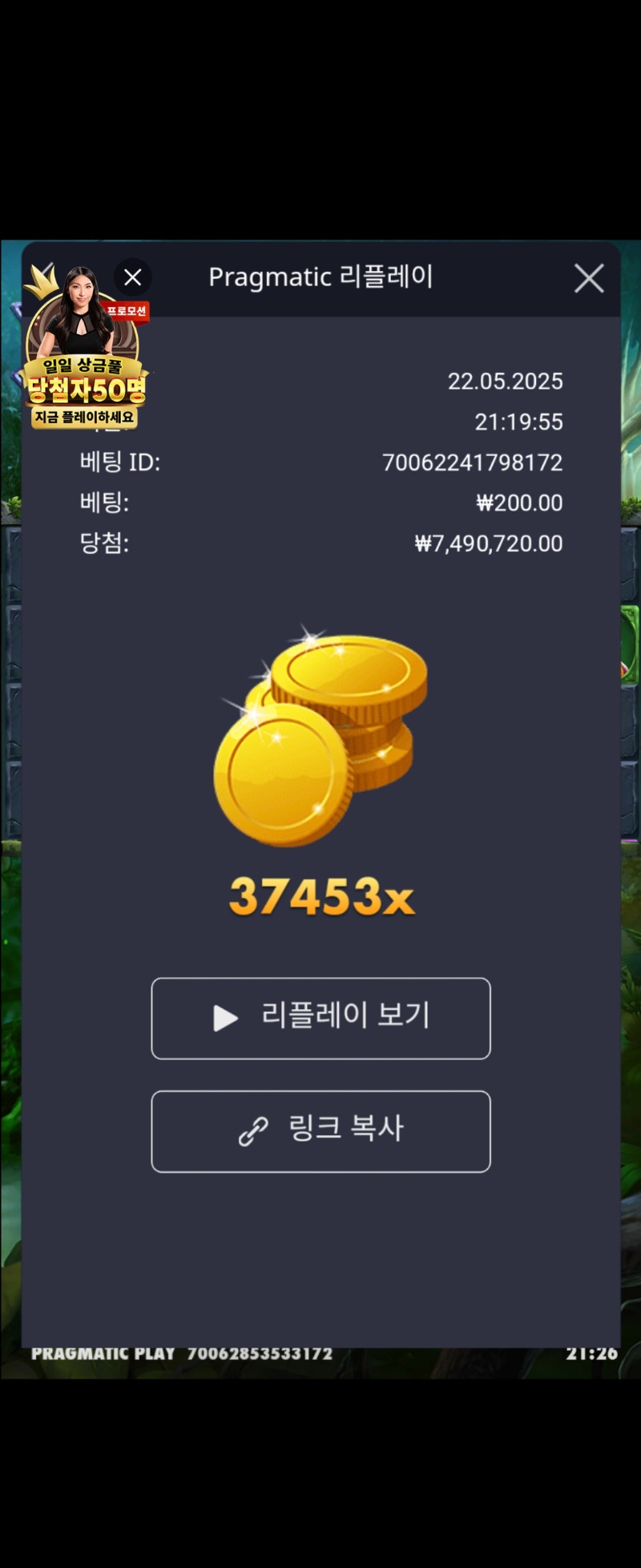 멀린 37453배 거희맥스