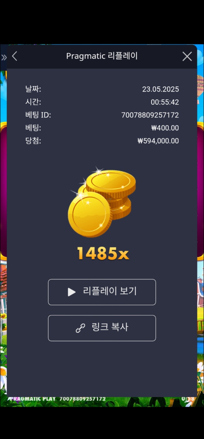 페스티벌 1485