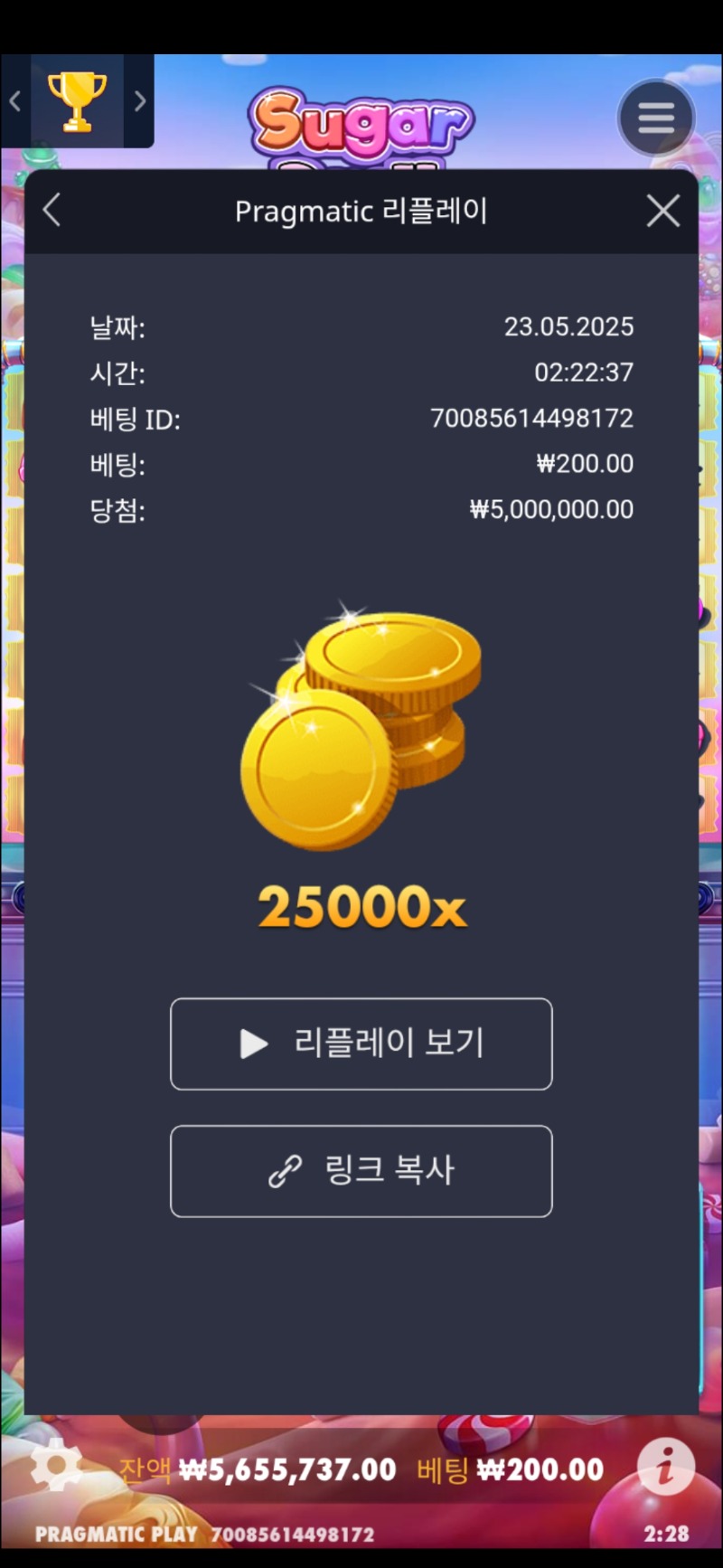 슈천 25000배