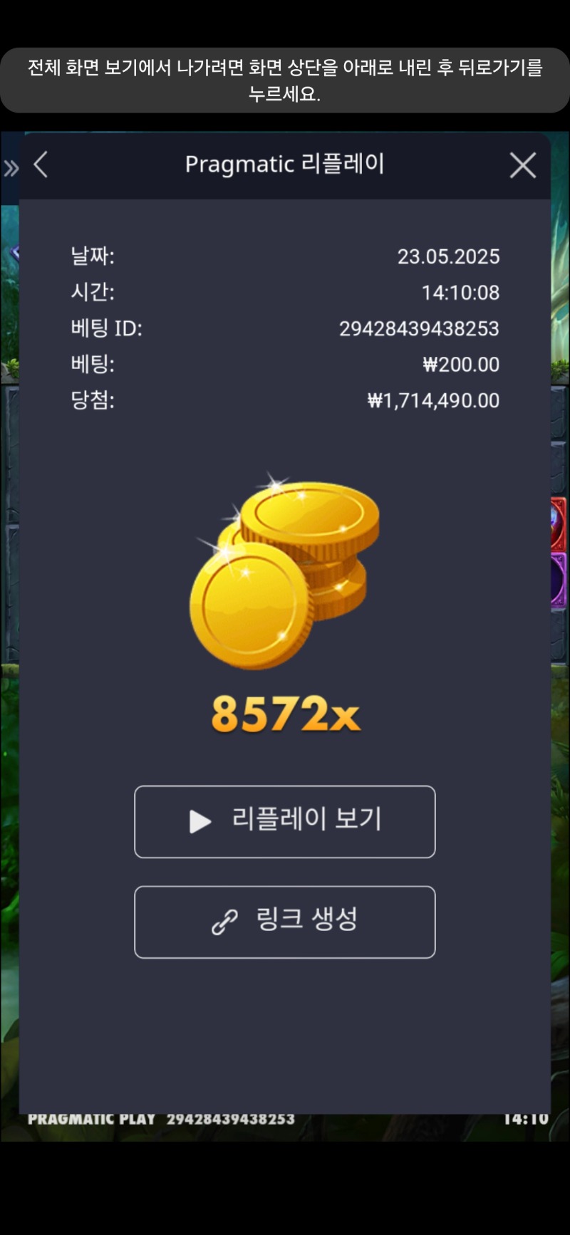 멀린8572배