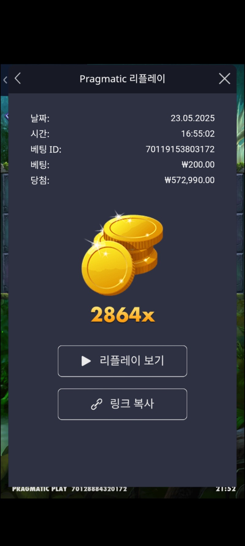 멀린  2864배