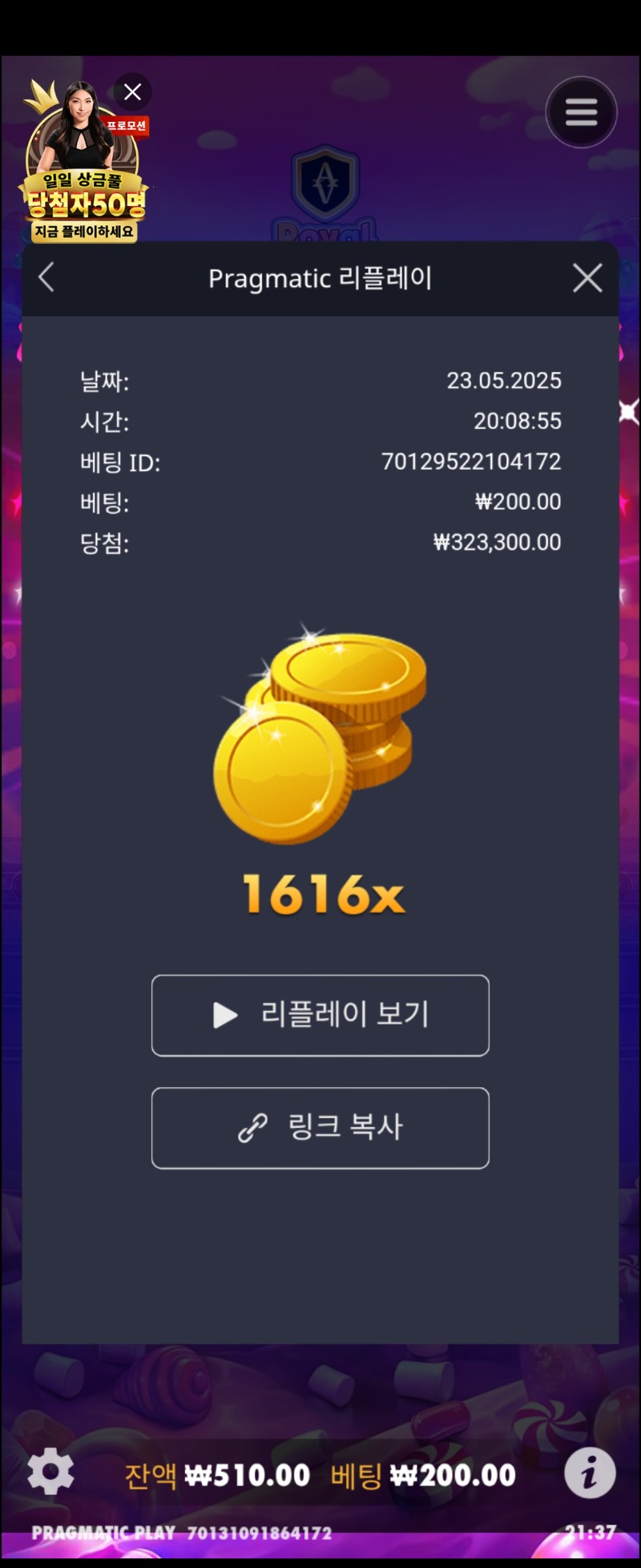 슈천 1616배 어제