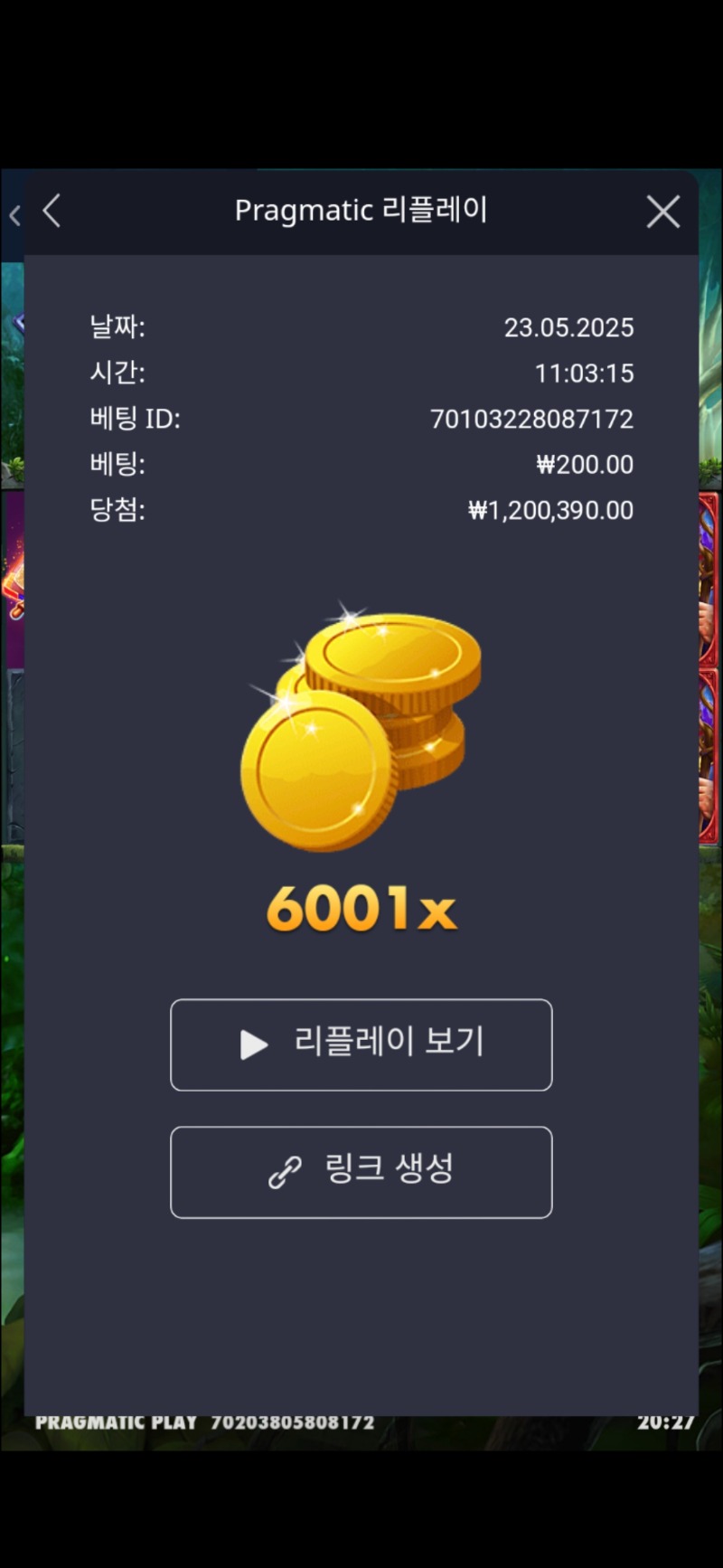 멀린 6001배