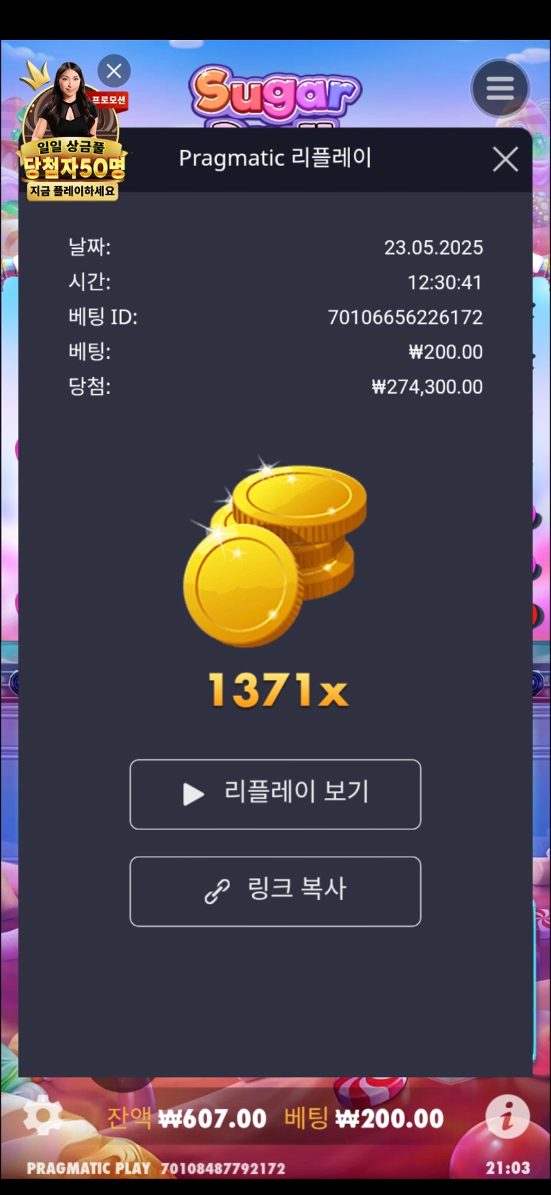 슈가1000 1371배