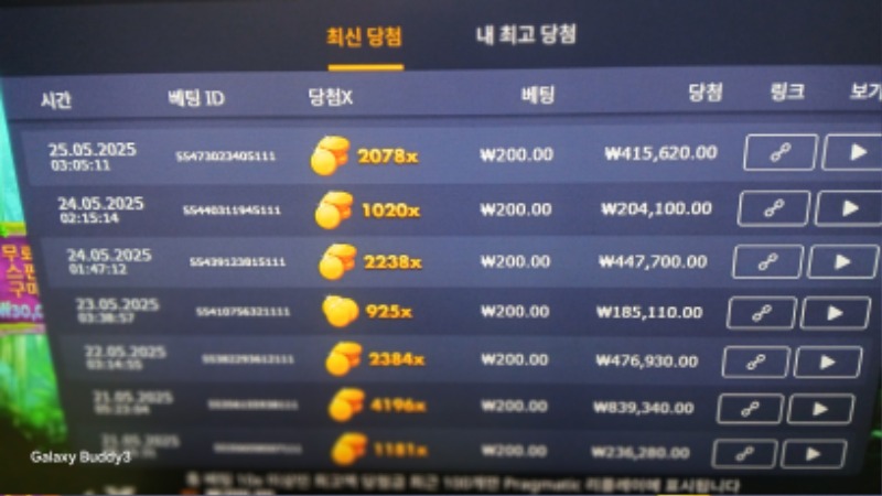 멀린2078배