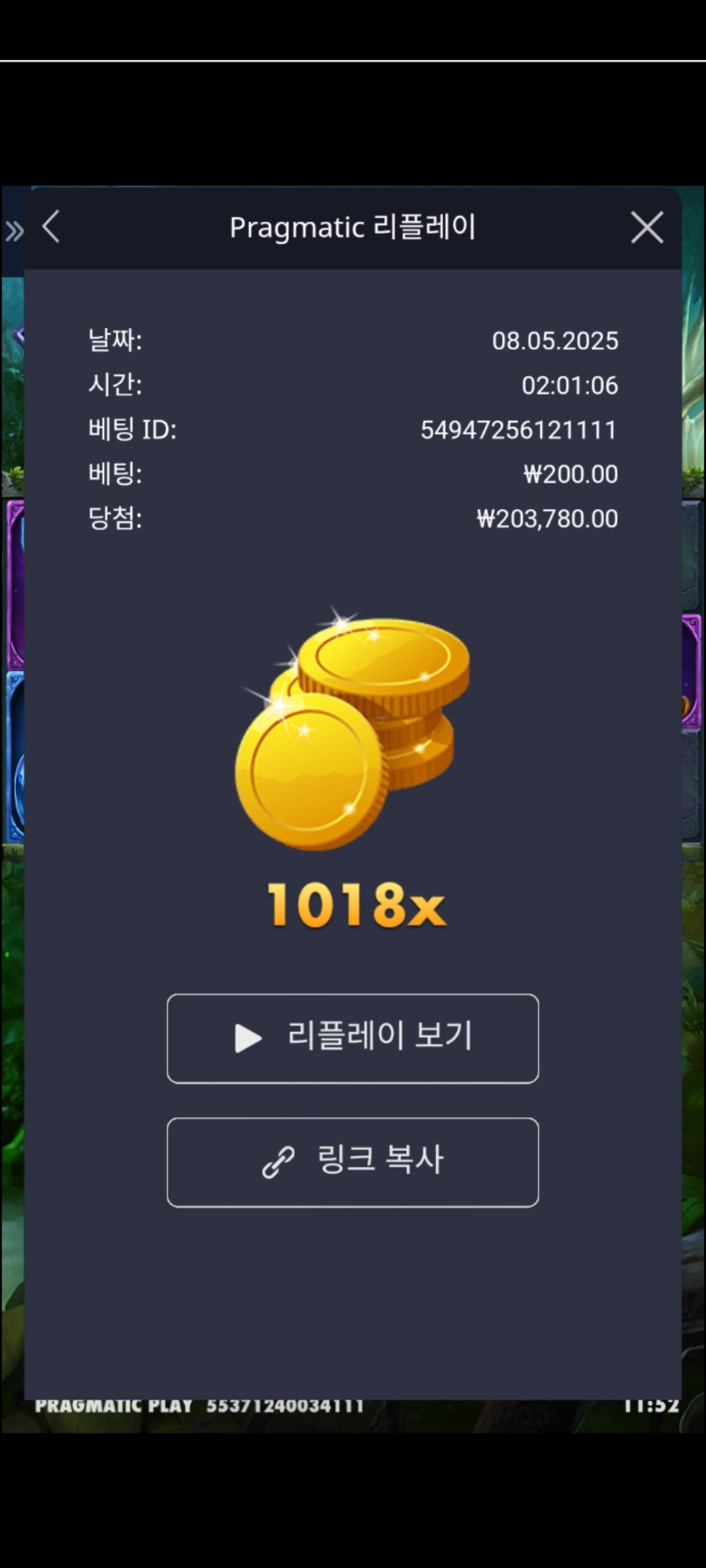 멀린1018배