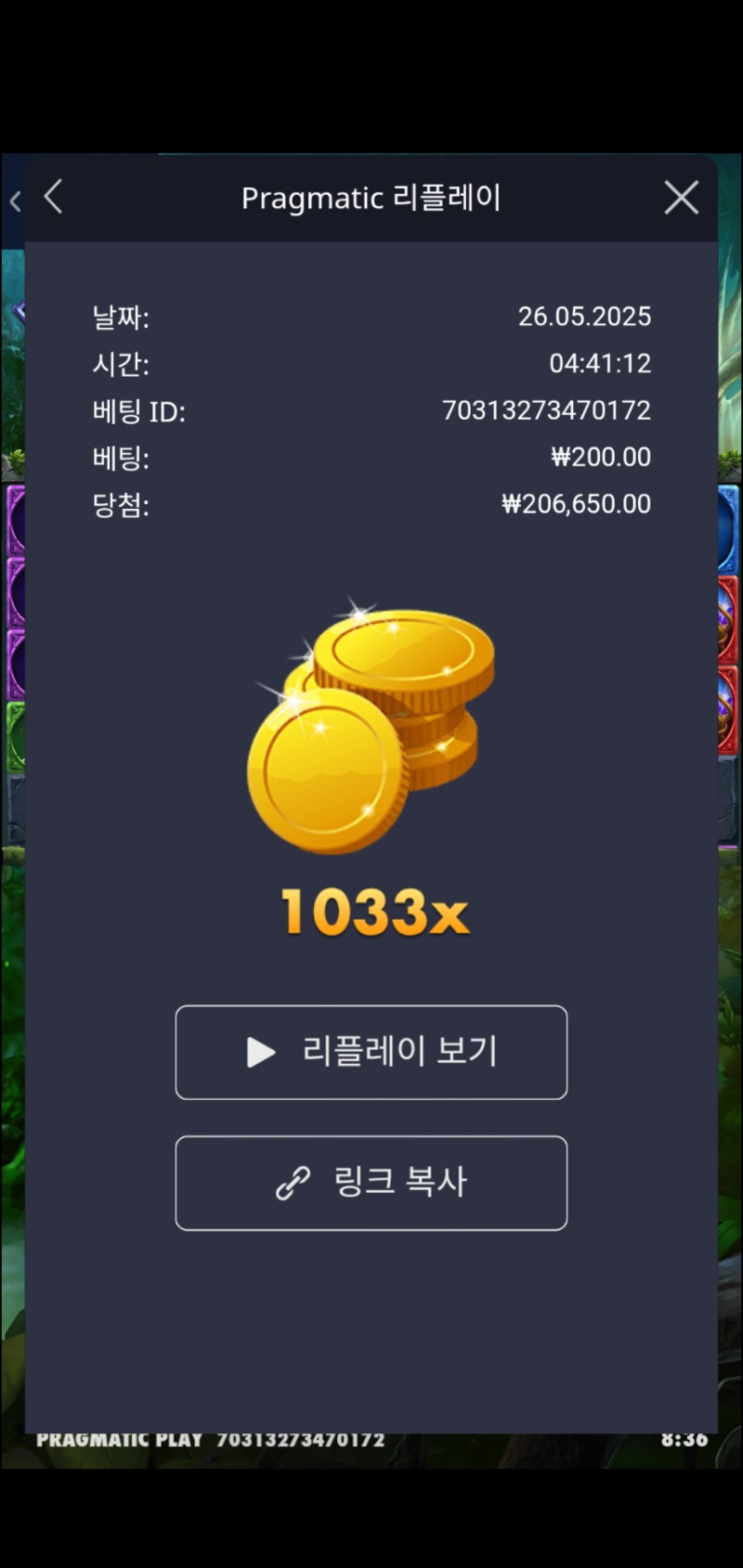 멀린1033배