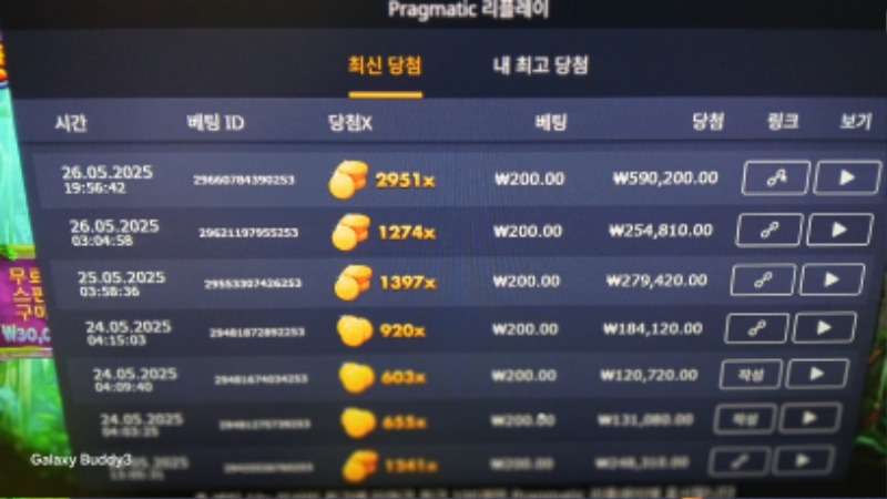 멀린2951배