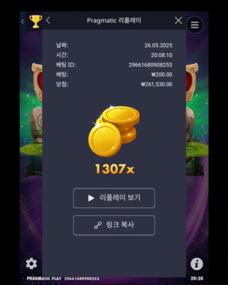 멀린 1307배