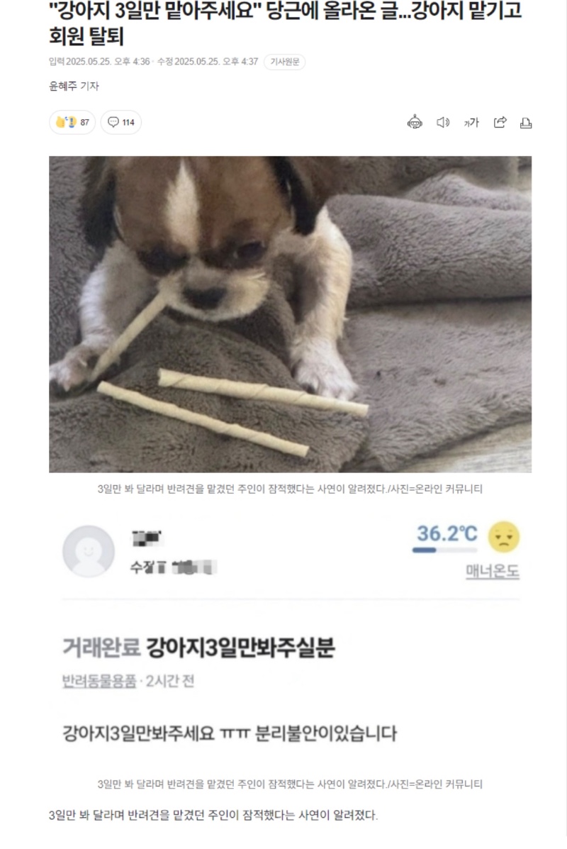 신종 강아지 유기 방법