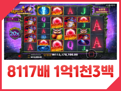 나홀로 멀린 8117배.png