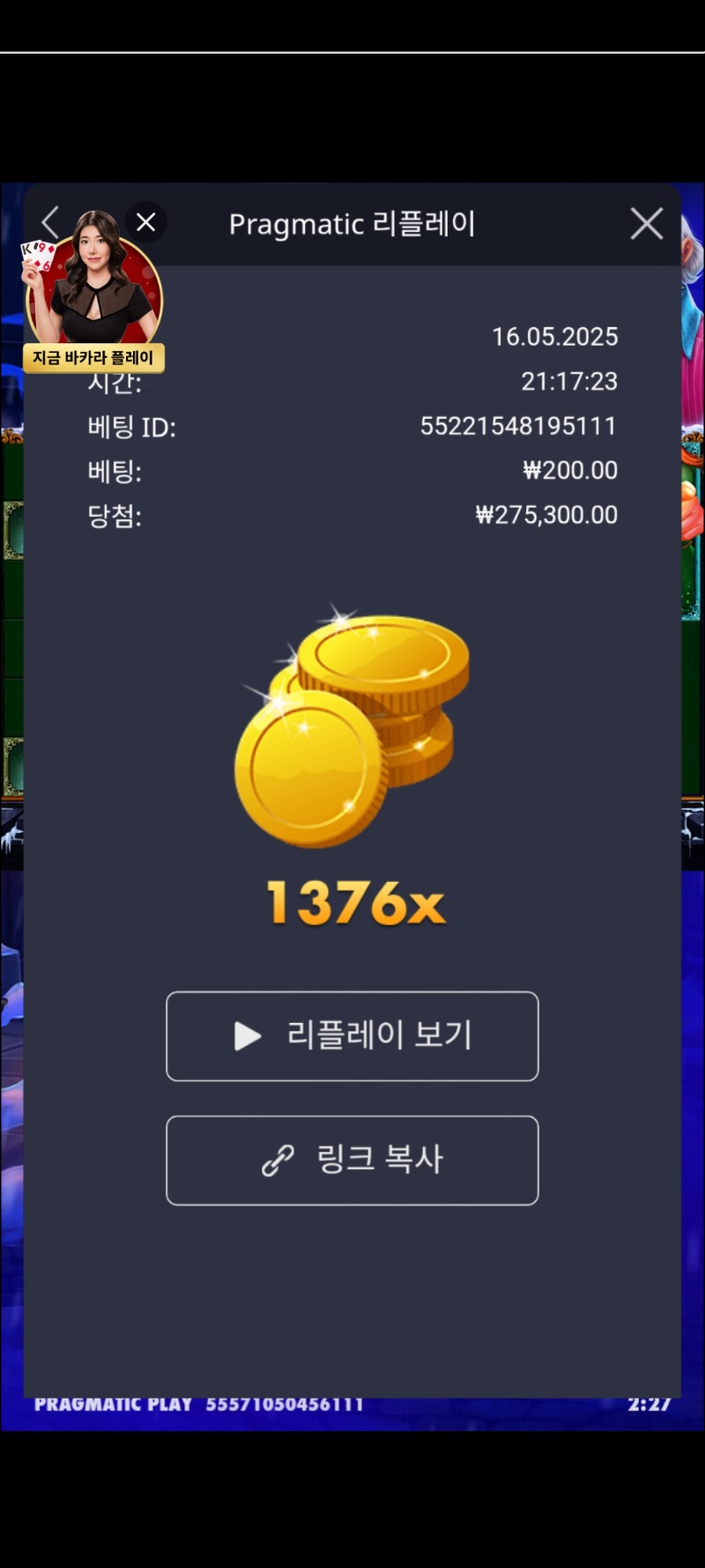 캐롤1376
