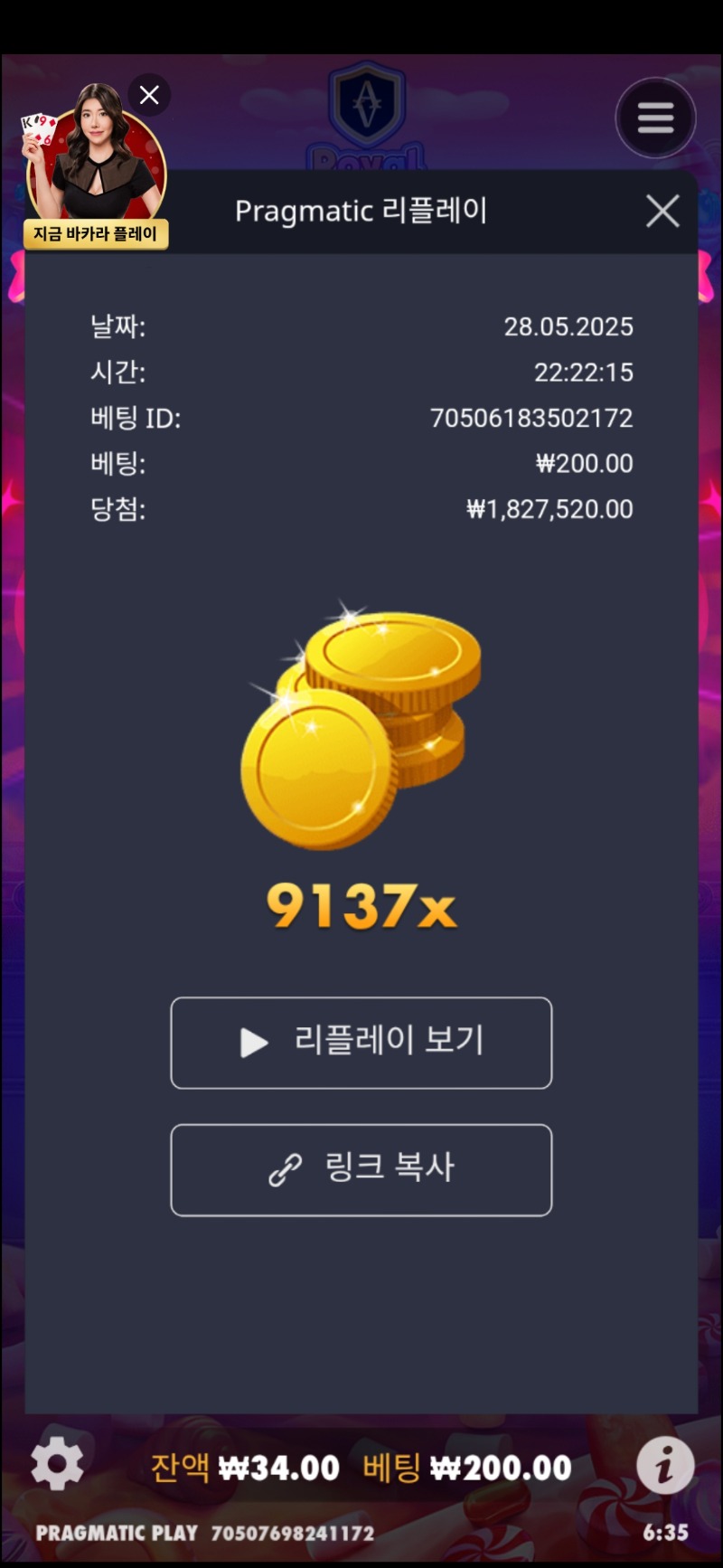 로슈천 9137배