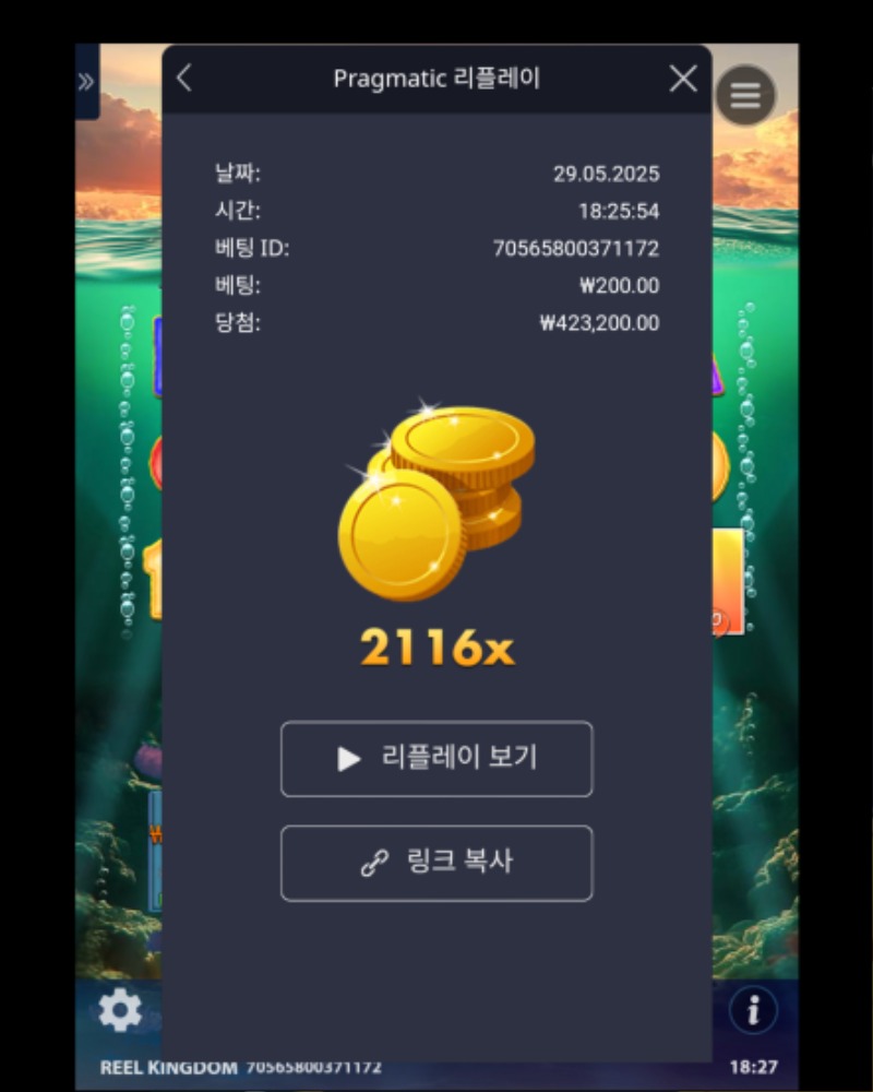 빅베스천 2116배