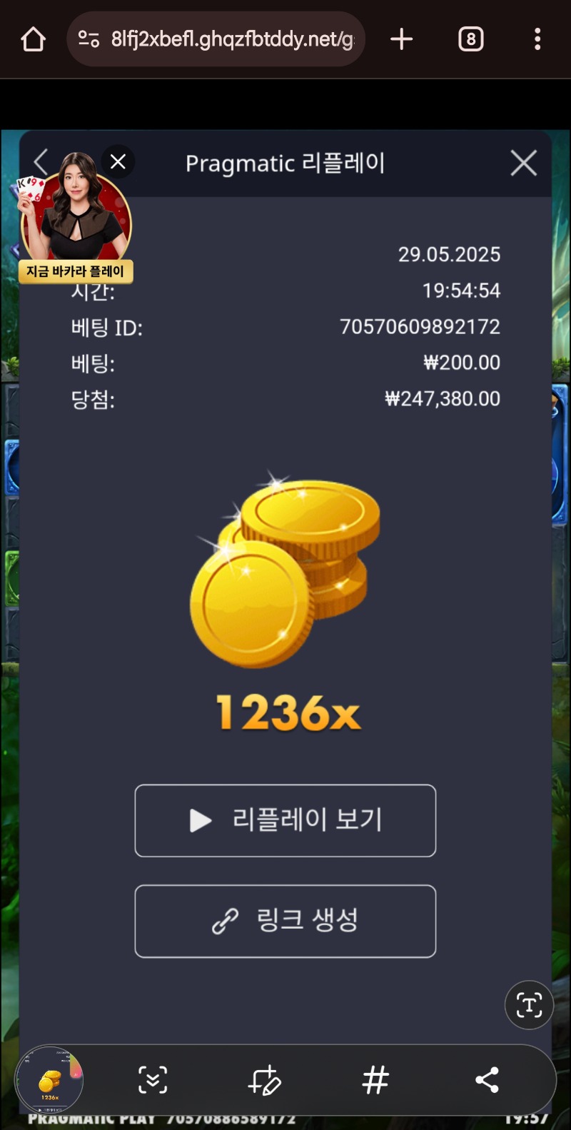 멀린1236배