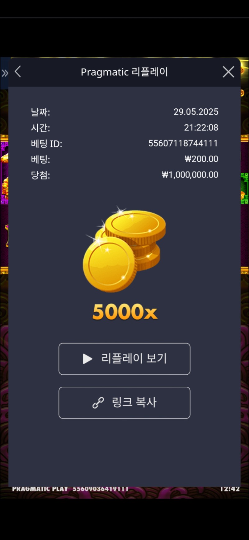 토라메 5000배(밑에글 수정 안돼서 재업)