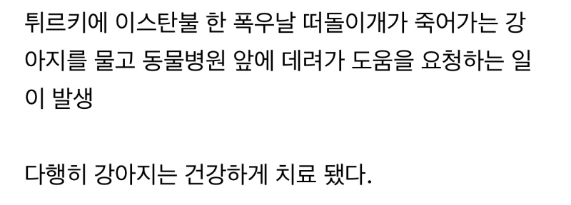 이스탄불의 기적