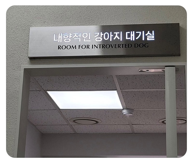 요즘 동물병원 대기실 근황