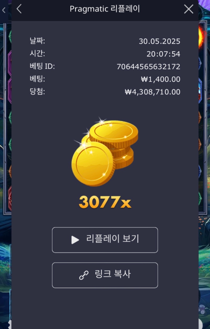 파포 3077배