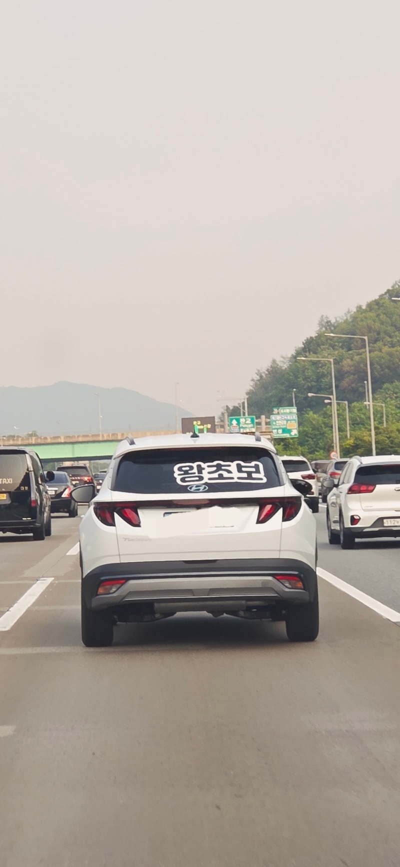 이보다 더 초보일 수는 없다