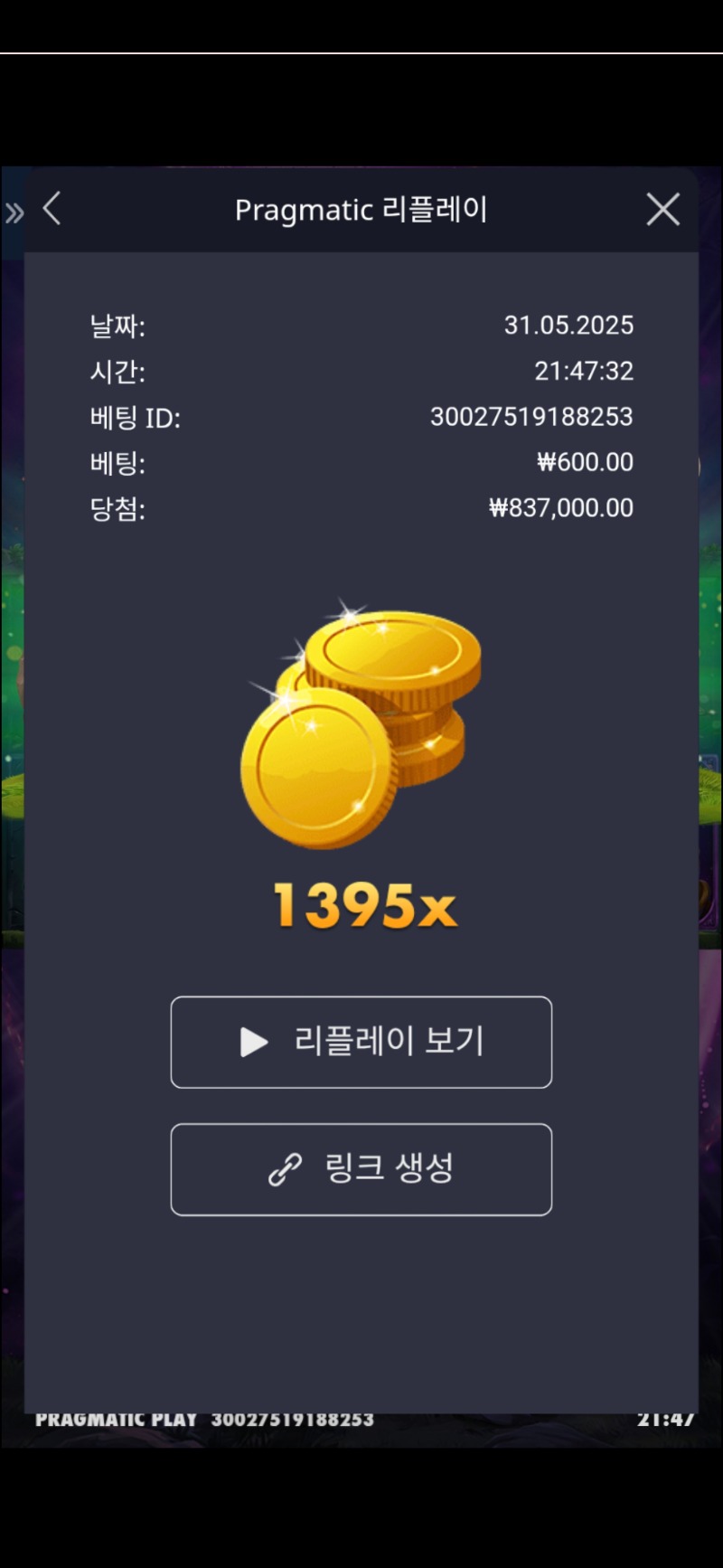 멀린1395배