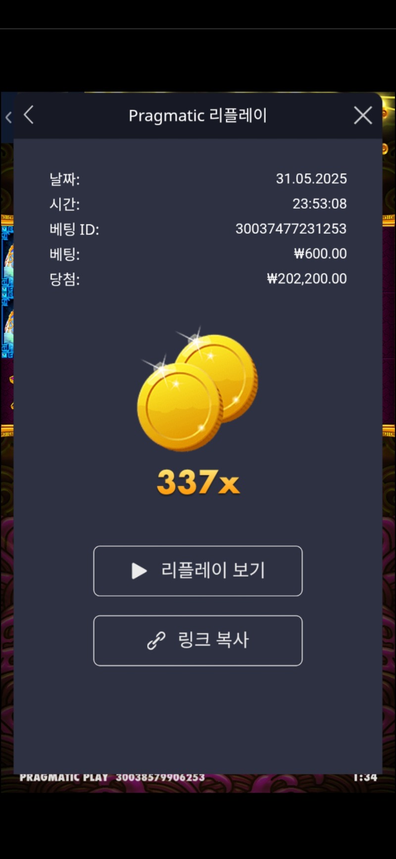토라메 337