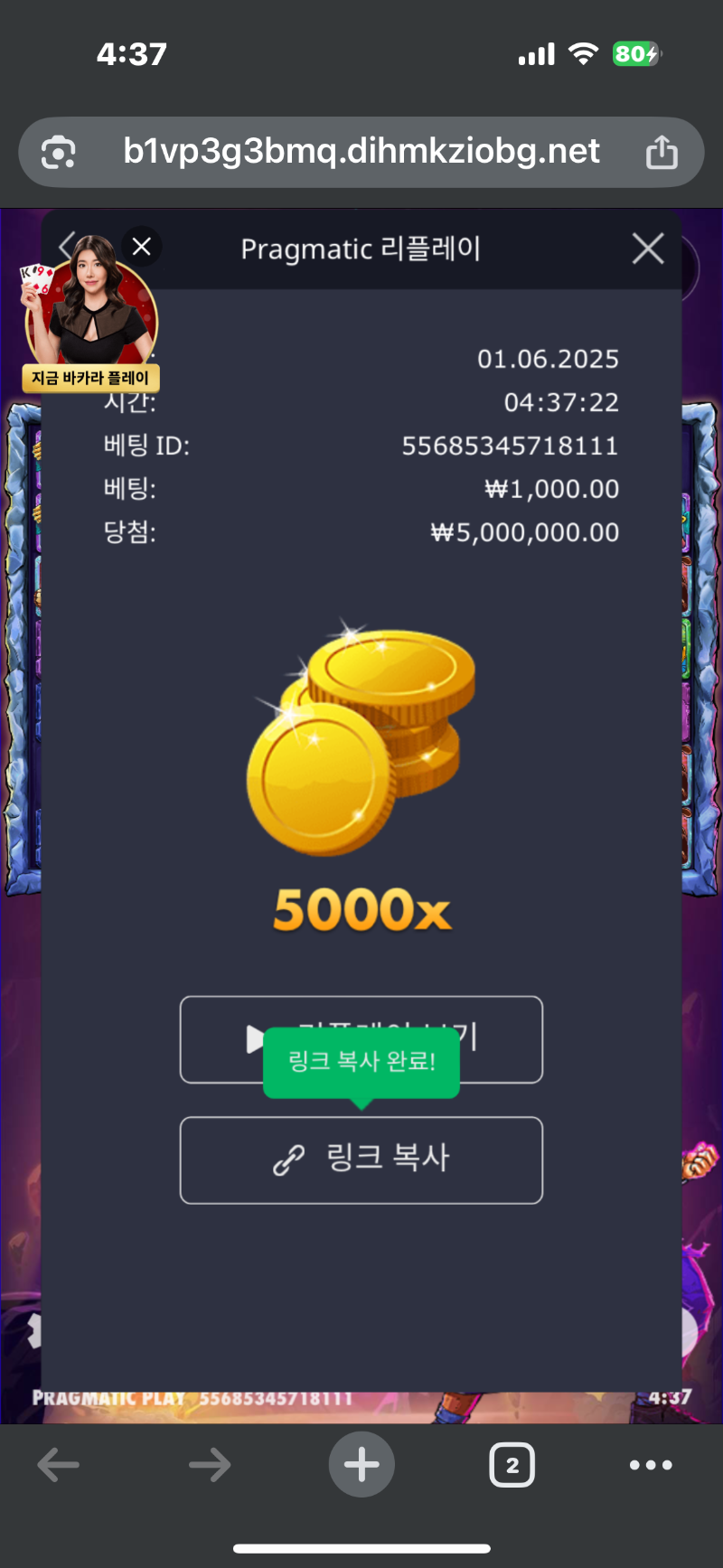드래곤볼 맥스
