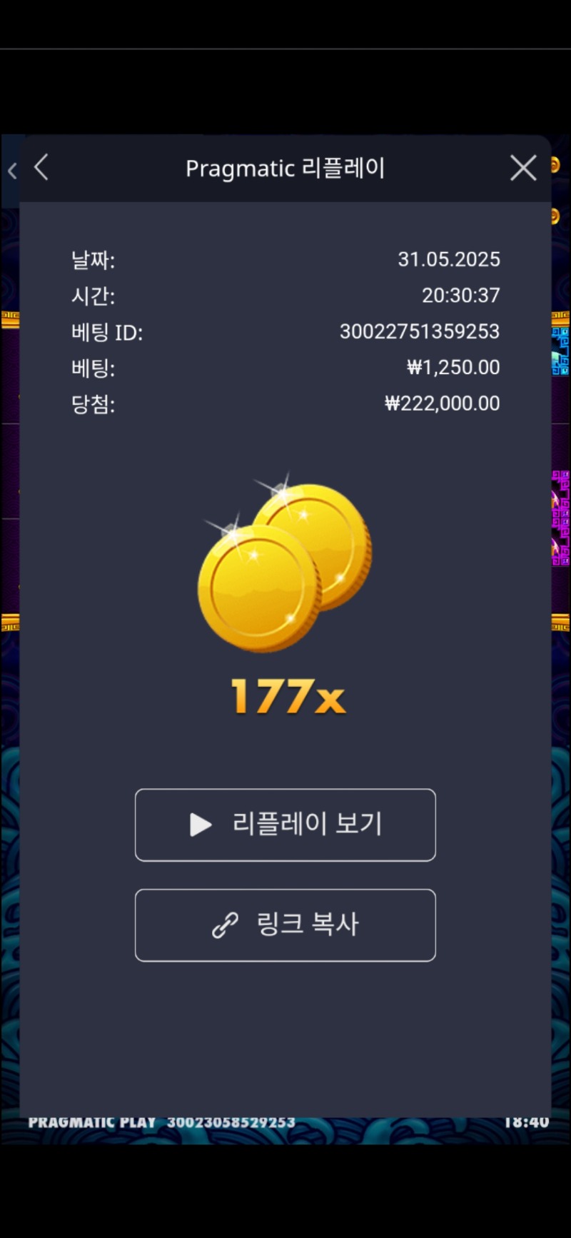 오라메177배