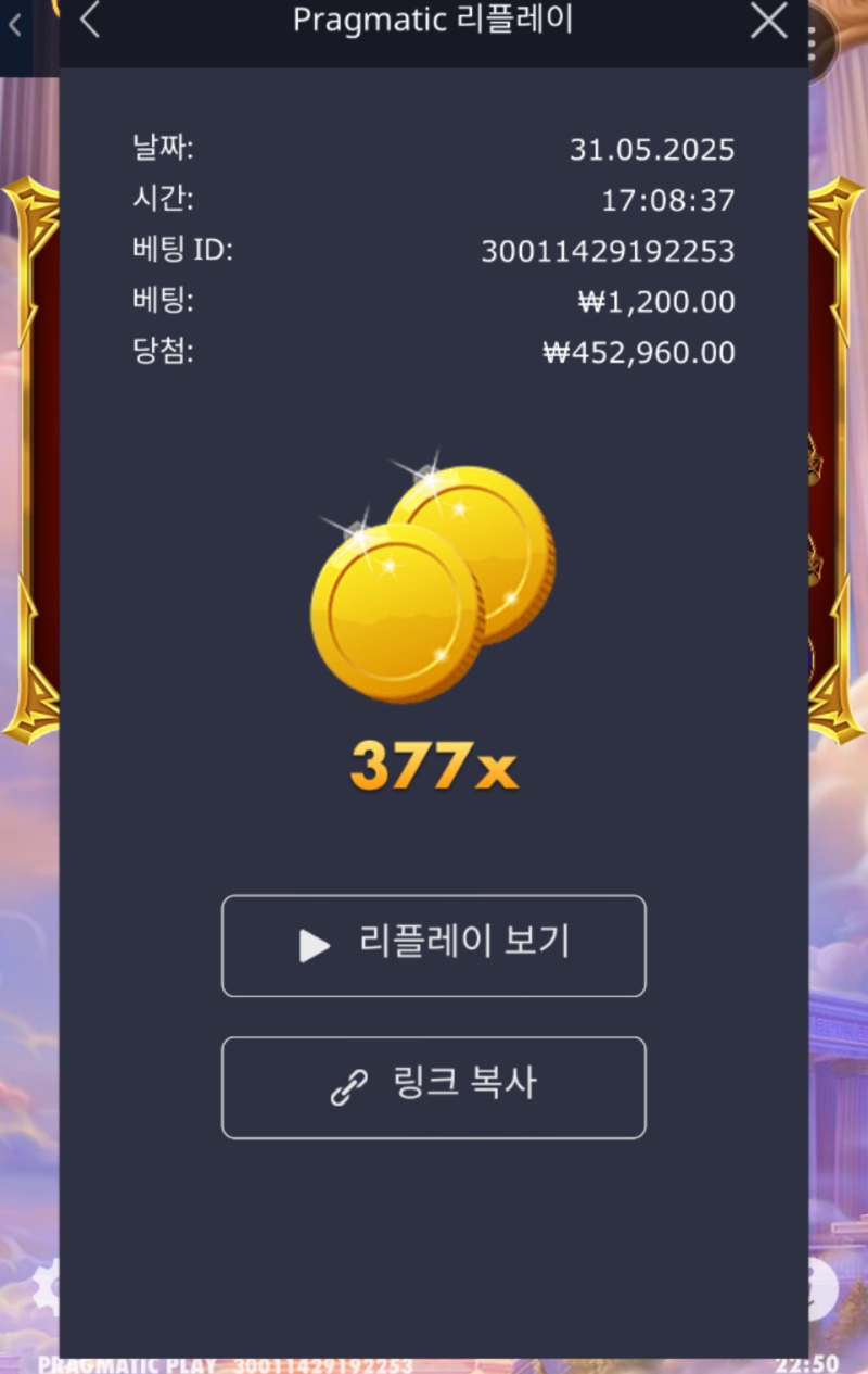 주말의배당 신할배