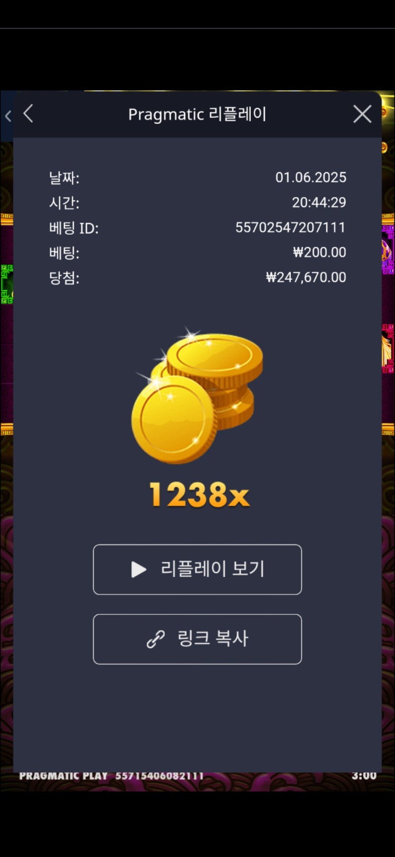 토라메 1238배